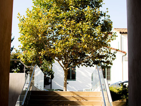 Claremont Consortium To Reopen For Spring Semester, Restrict In-Person Activity