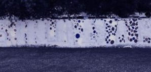 Conservative Prof. Called “Nazi”, Whites Weak-Minded on Free Speech Wall, Former Taken Down by Colle