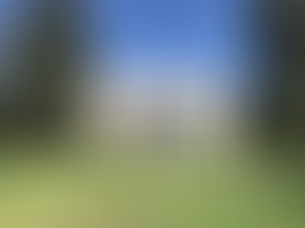 Professors Propose Amendment Allowing Letter Grades