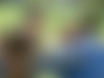 What If We Have It All Wrong?