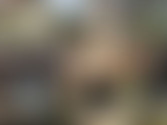 Pomona Settles Title VI Antisemitism Complaint, Commits to Significant Changes