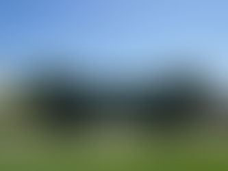 277 Students Dissent and Ask For Reconciliation