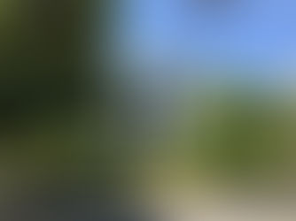 College Backs Prof. Advertising Race-Based Admission to Course