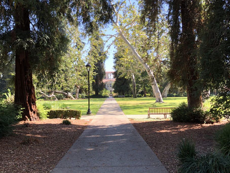 Pomona Admits Class of 2024