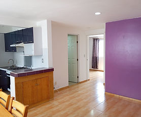 Departamento Anáhuac, Miguel Hidalgo
