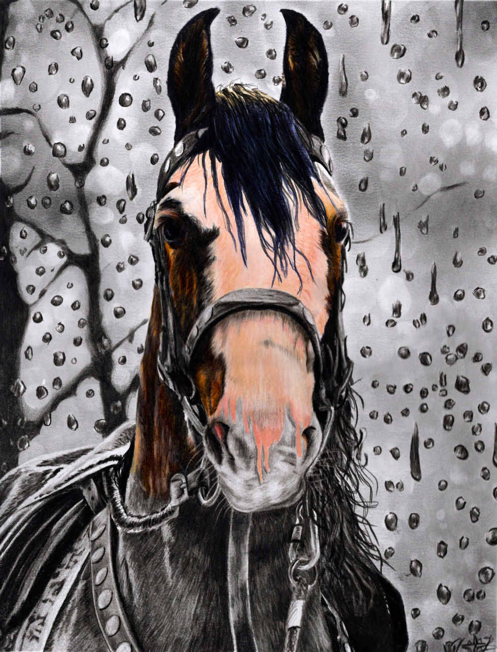 Westward Rains