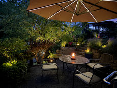 The Backyard Sanctuary: Curating the Barren Space on a Budget
