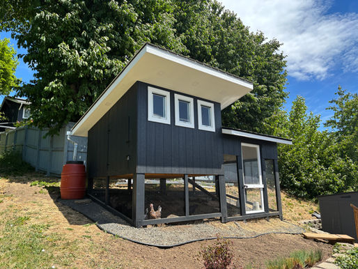 Brains, Beauty, and the Palace They Deserve: Our Coop is Complete!