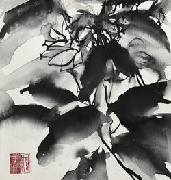 白い花