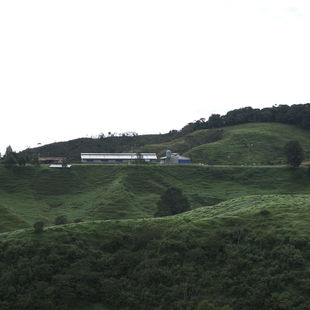 DE LA GRANJA A TU MESA