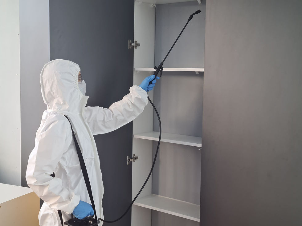technicien désinfectant un meuble