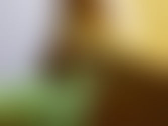 風水チェックポイント3:大人女子の健康な身体と心には〇〇