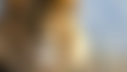 Imposto de Renda 2018: prazo para entrega de Declaração inicia em 1 de março a vai até 30 de abril d