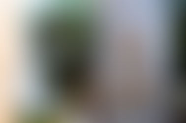 Imposto de Renda 2018: não caia na Malha Fina!