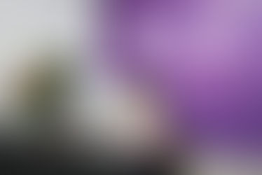 Procuradoria da Mulher da Câmara de SJB completa três meses de trabalho e promove caminhada no próximo dia 06