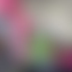 SJB na coordenação da Câmara Técnica de Gestão de Segurança Pública do Cidennf