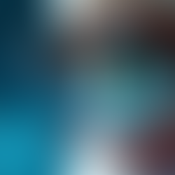 The Magnifier in the Eye- the new option for patients with macular degeneration