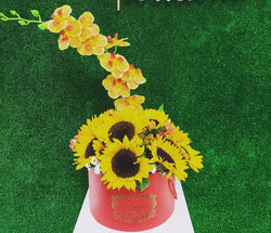 151271404_248872200191788_46945928257953