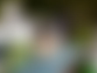 Erfolgreiche Gevelsberger