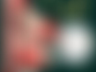 🎅🎄Natal Terras Alpha🎄🎅