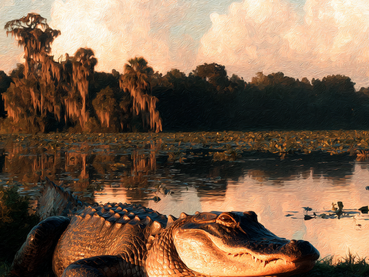 Louisiana Purchase
