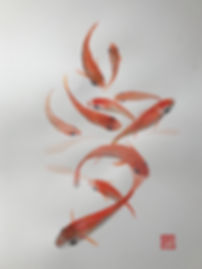 image1.jpeg