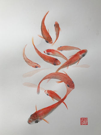 image1.jpeg
