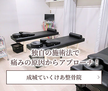 seijo.jpg