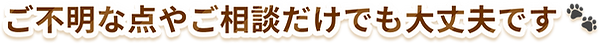 ご不明な点やご相談だけでも大丈夫です 🐾.png