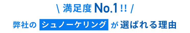 宮古島でシュノーケリングツアー|ウミガメ探索・貸し切りも可能な「Pole Polemarine385」|選ばれる理由