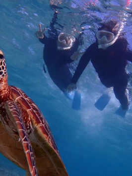 宮古島でシュノーケリングツアー|ウミガメ探索・貸し切りも可能な「Pole Polemarine385」|シュノーケル写真