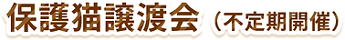 保護猫譲渡会（不定期開催）.png