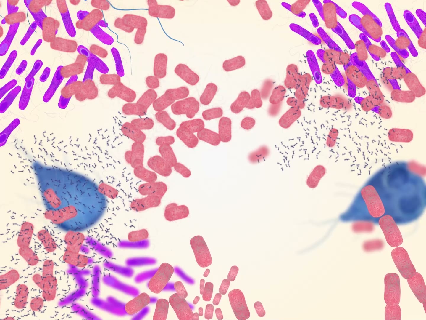 Microscopy Views preview frame