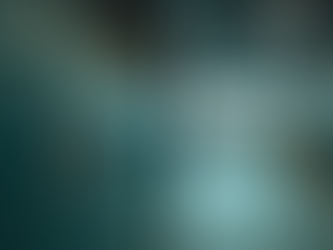 EHS Compliance Services: Navigating Environmental, Health, and Safety Regulations in the US