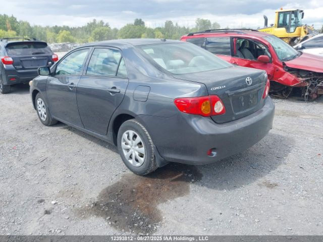 Thumbnail: Toyota Corolla 2009