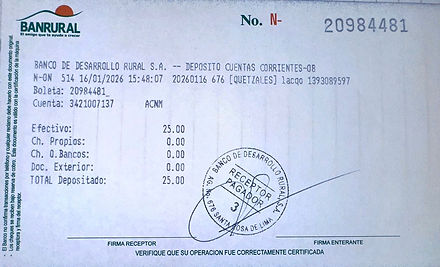 Ejemplo Boleta.jpg
