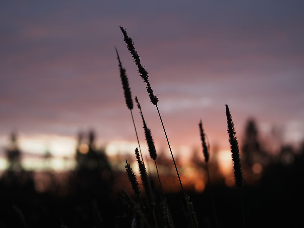 Taivas on täynnä purppuraa. Pilven raoissa punaista ja sinistä. Tervetuloa aurinko!