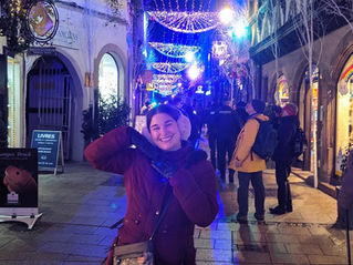 Dazzling Vegan Strasbourg: A Christmas Market Adventure