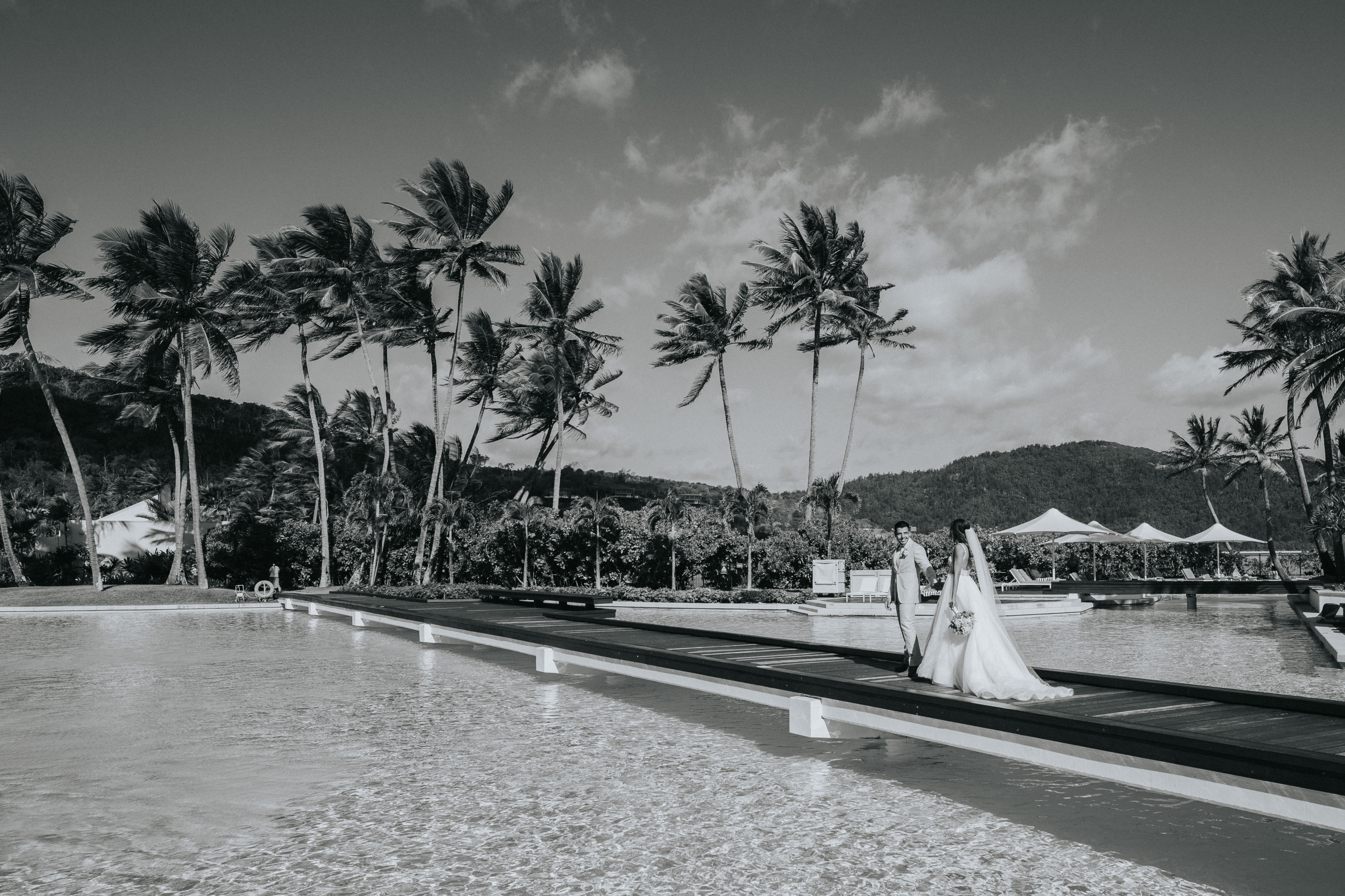 Timeless Images by Vanessa — photo 1 of 18