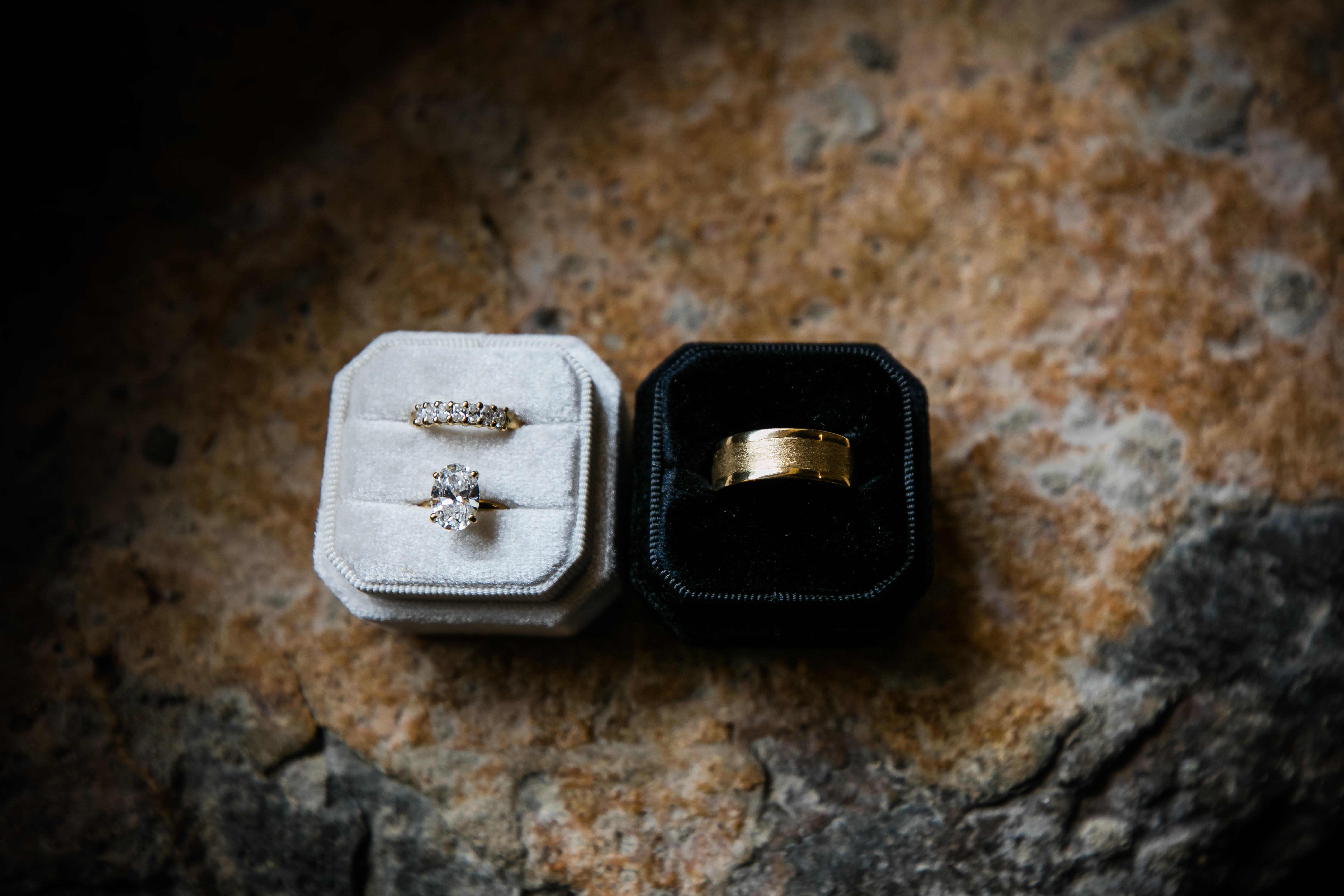 Timeless Images by Vanessa — photo 10 of 18