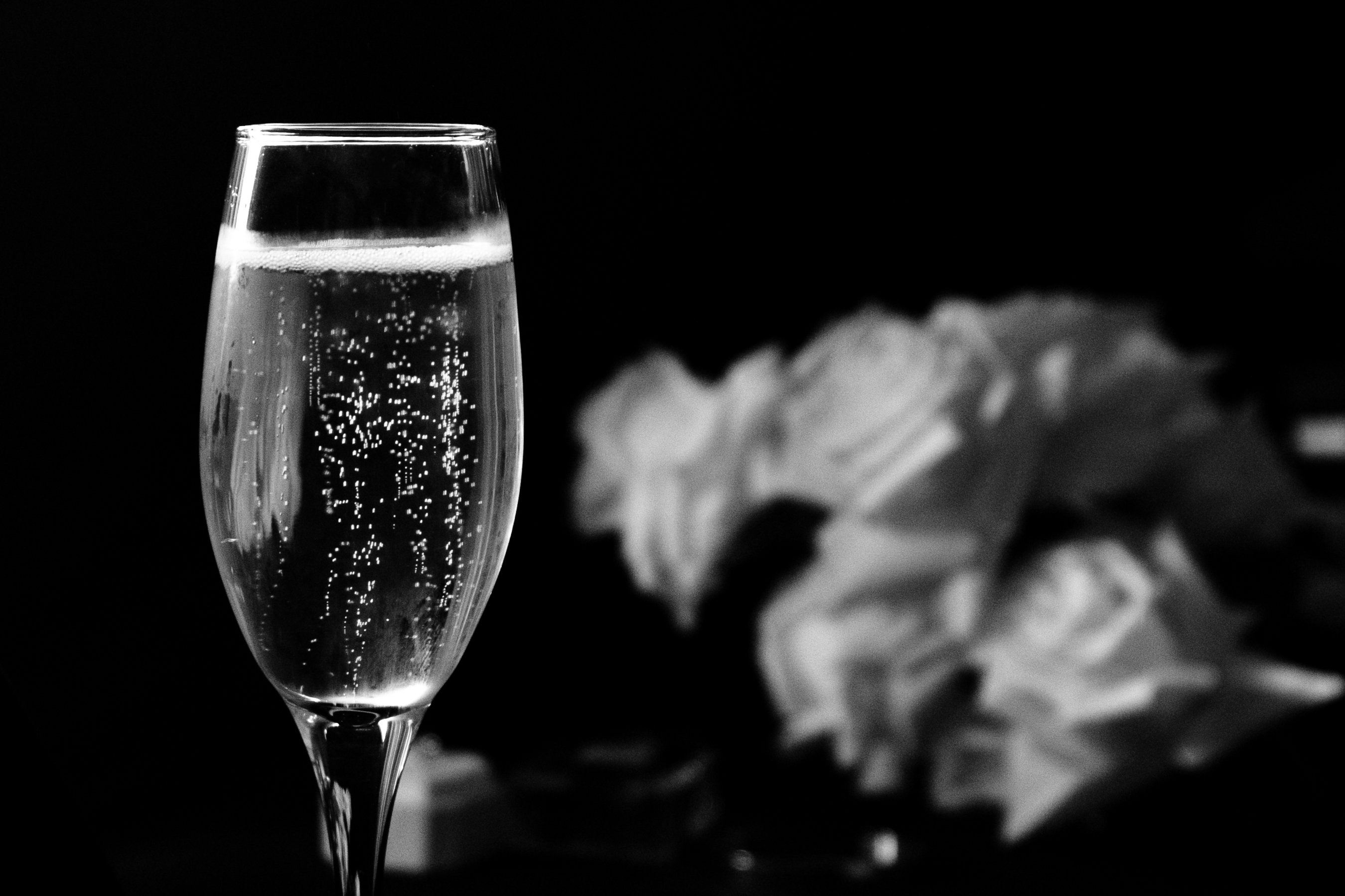 Timeless Images by Vanessa — photo 13 of 18