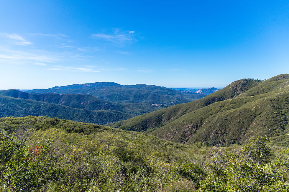 Palomar Mountain forest with lookout points near the Palomar Observatory.