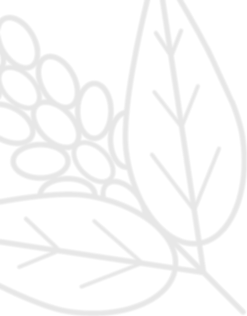 FCE-25_edited.png