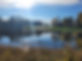 20211006_095418.jpg