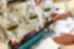 ToFuel processes