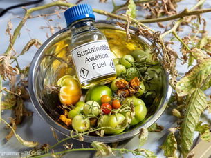 New EU-funded Project: Aviation Fuel Production from Tomato Residues