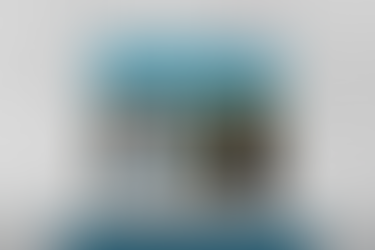 EPS 36. The Default Parent and the CEO: Three Businesses, a Baby and a Traveling Spouse