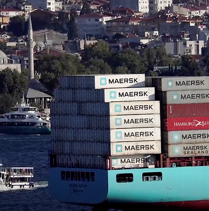 Screen Shot 2021-08-24 at 1.02.14 PM.png