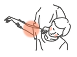風ある林整骨院|アナトミア腕.png