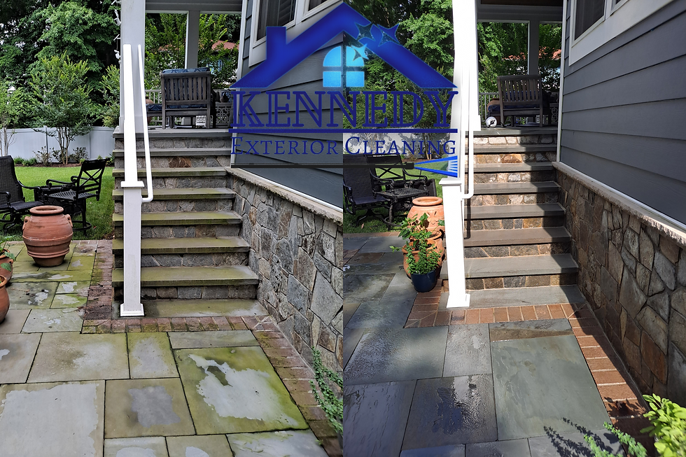 How to remove algae from stone